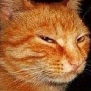 Meet your Posher, Juanita